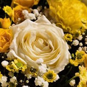 Мария Семенова